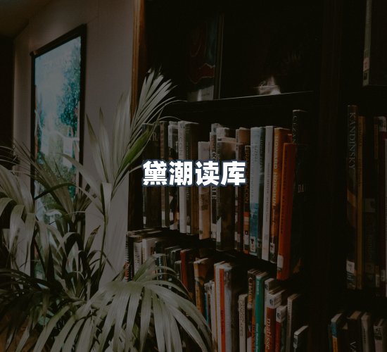关于黛潮读库